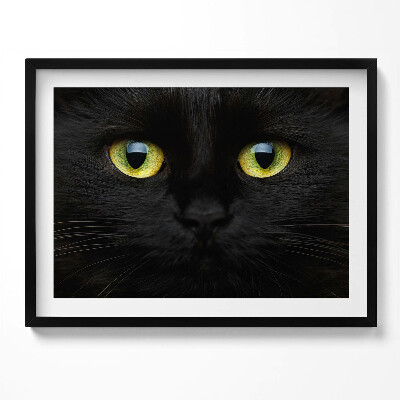 Tablou rama Ochi de pisică animale
