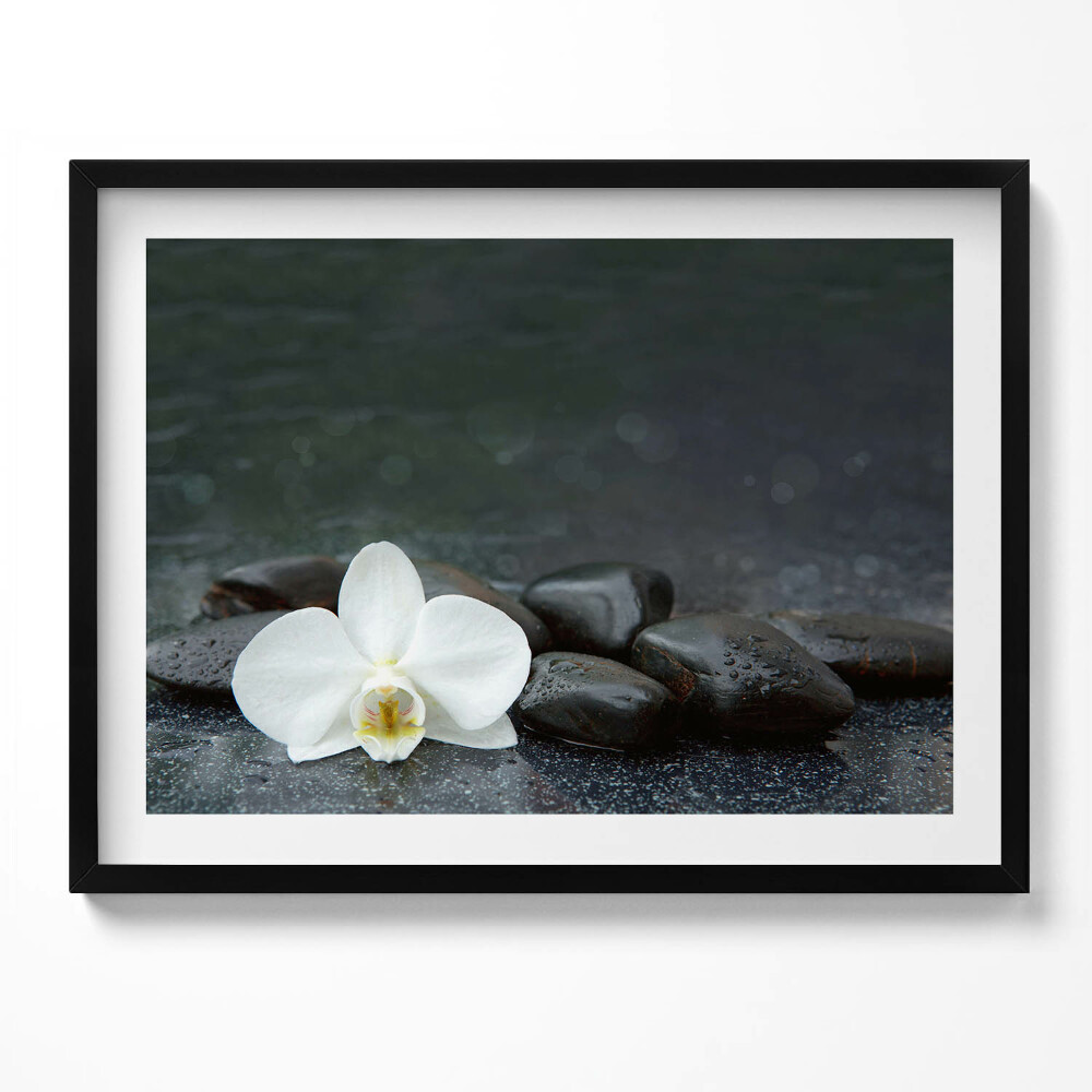 Tablou rama Pietre zen cu flori albe