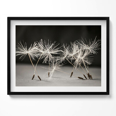 Tablou rama Polen delicat de păpădie