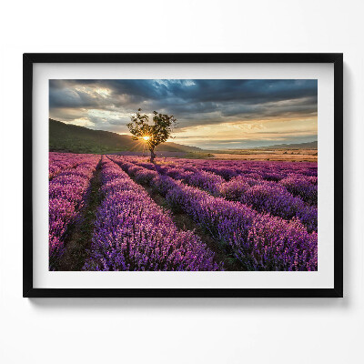Tablou living cu rama Peisaj de câmp de lavandă