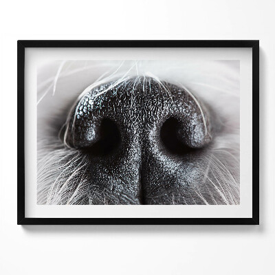 Tablou rama Prim-plan al nasului unui animal