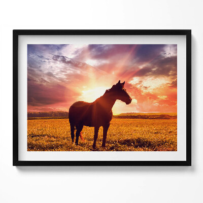 Tablou rama Un cal pe un câmp la apus