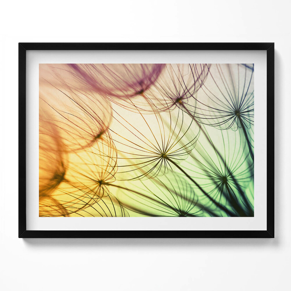 Tablou rama Polen delicat de păpădie