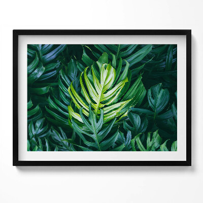 Tablou living cu rama Natură tropicală - frunze de monstera