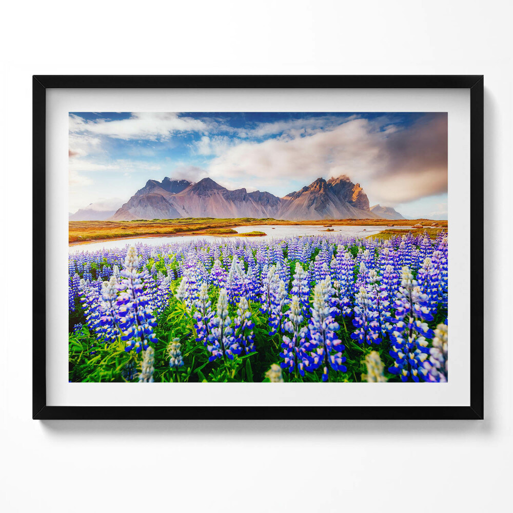 Tablou rama Flori magice de lupin