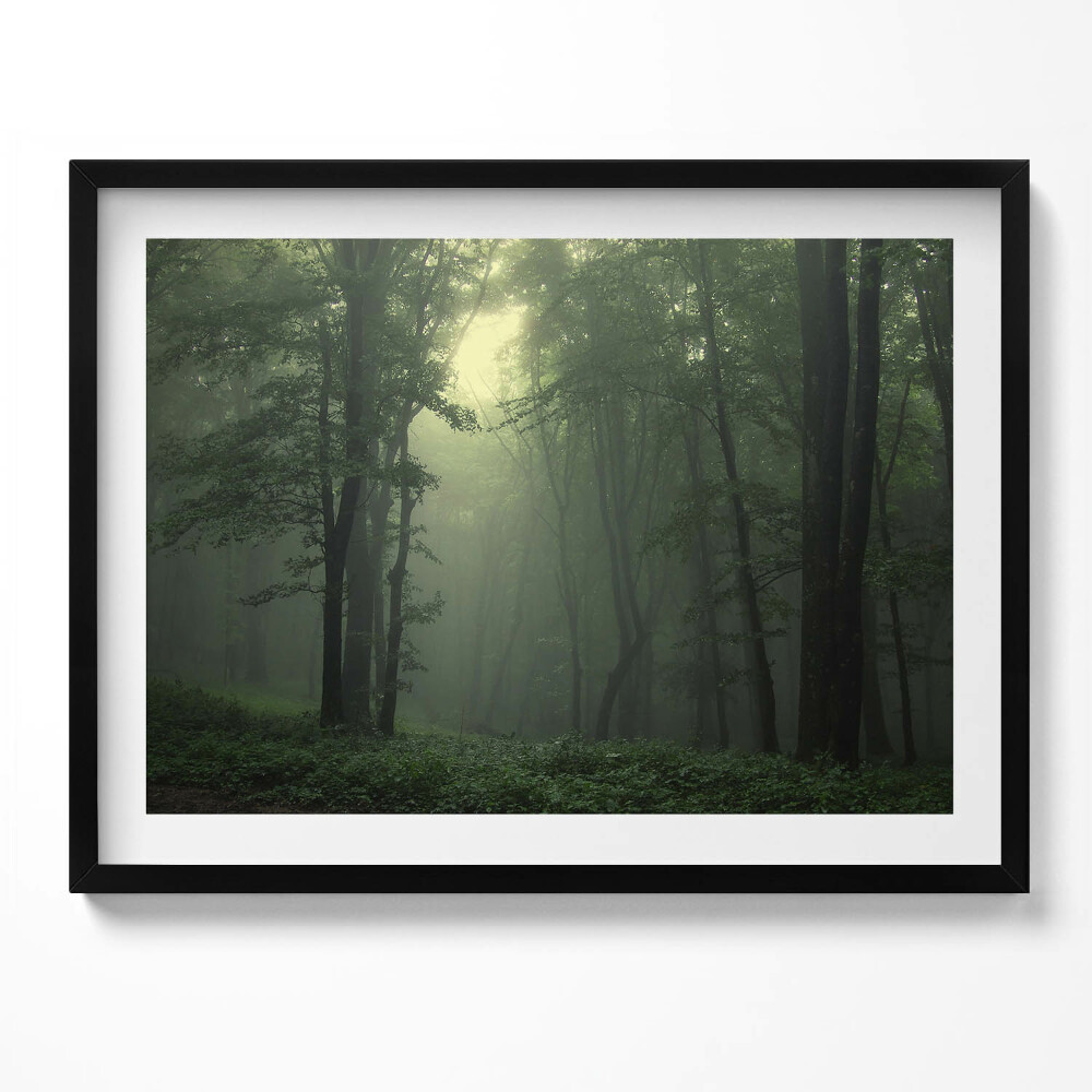 Tablou living cu rama Pădurea încețoșată dimineața