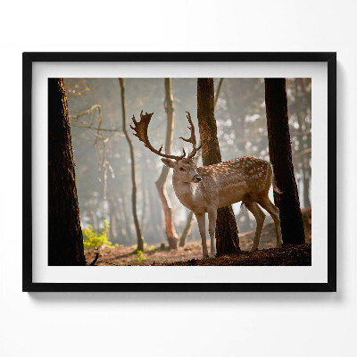 Tablou living cu rama Cerbi în strălucirea soarelui care răsare