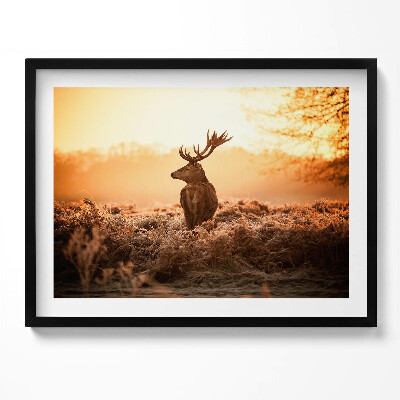 Tablou rama Cerb la răsărit