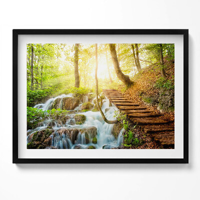Tablou rama Pârâu și scări în pădure