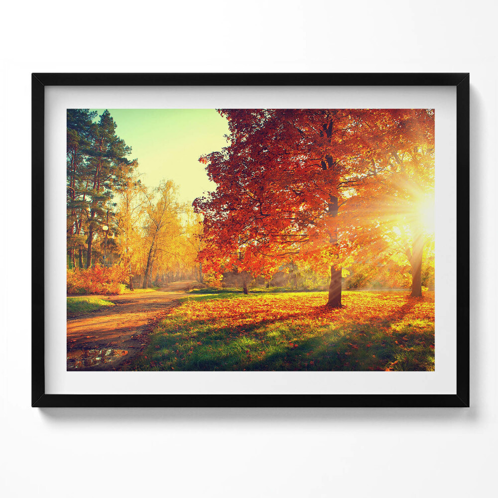 Tablou living cu rama Parc de toamnă