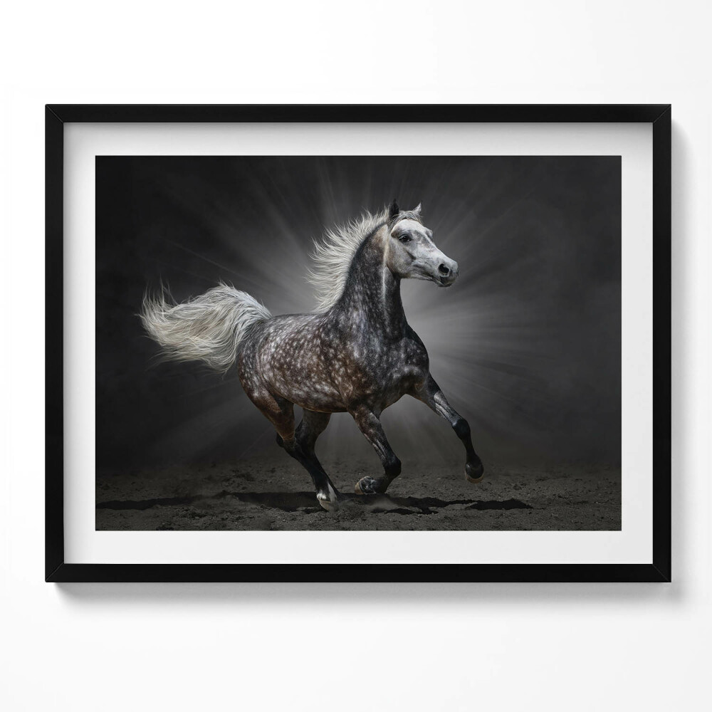 Tablou living cu rama Calul galopant