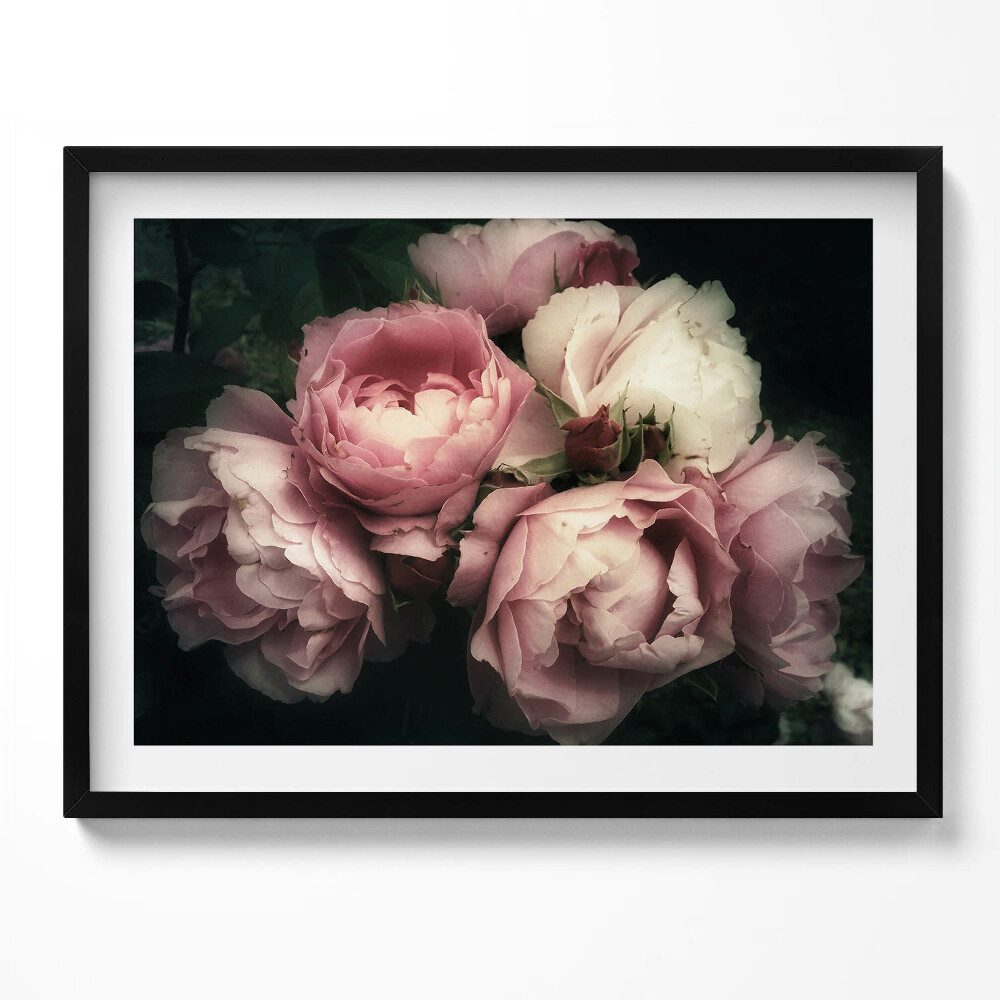 Tablou rama buchet de trandafiri roz vintage