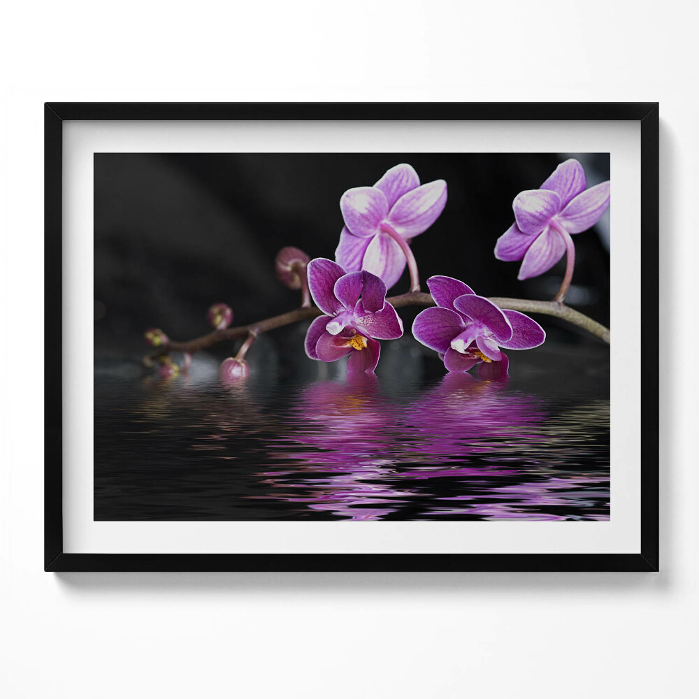 Tablou living cu rama Orhidee roz pe apă