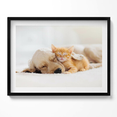 Tablou living cu rama Animale care dorm, pisică și câine