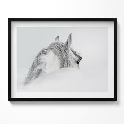 Tablou living cu rama Cal andaluz în ceață