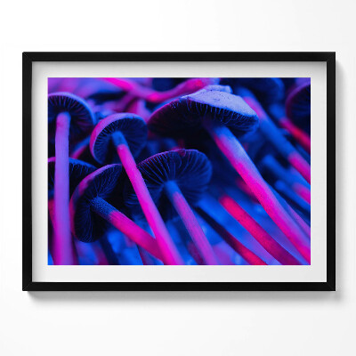 Tablou rama Ciuperci magice colorate