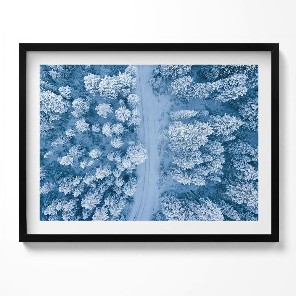 Tablou rama Pădurea din vedere dinspre o pasăre, cu dronă