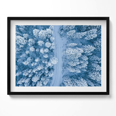 Tablou rama Pădurea din vedere dinspre o pasăre, cu dronă