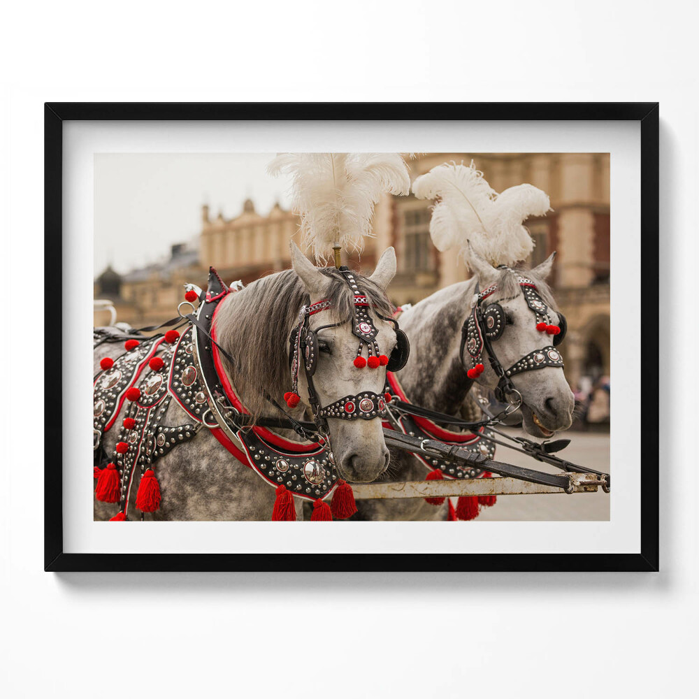 Tablou rama Cai frumoși în Cracovia