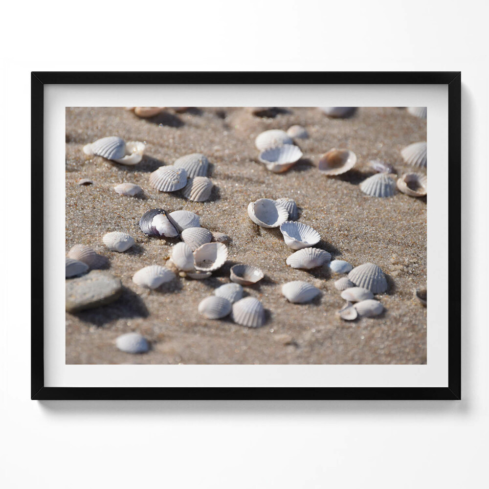 Tablou rama Scoici pe plajă