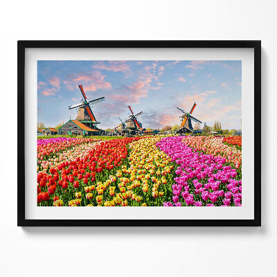 Tablou rama Peisaj cu lalele Olanda