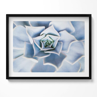 Tablou living cu rama Floare de plantă