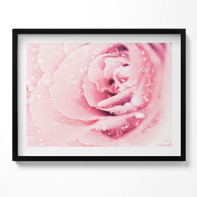 Tablou living cu rama Picături de rouă și flori de trandafir