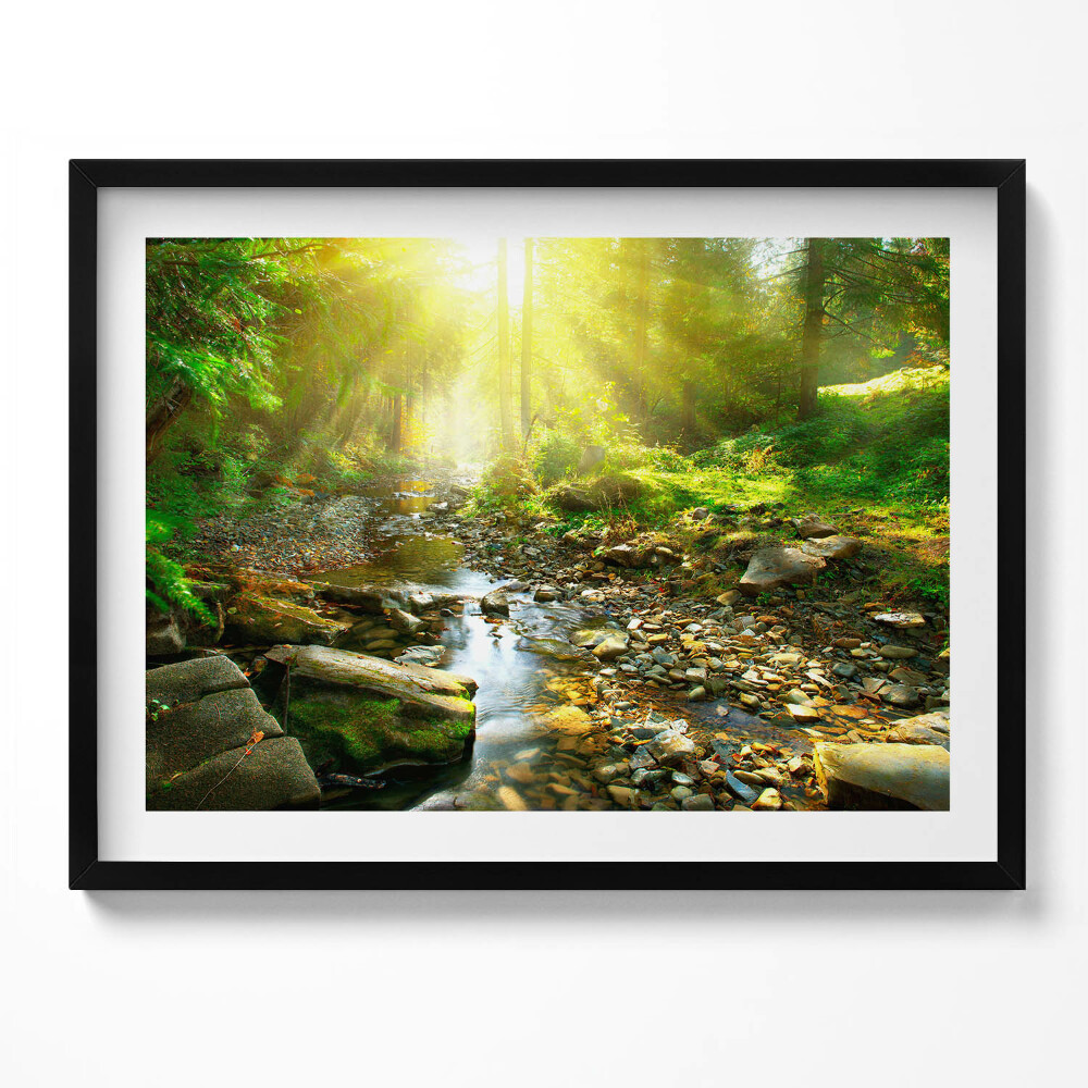 Tablou rama Pârâu de pădure în razele soarelui