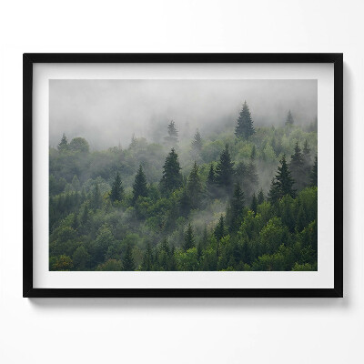 Tablou rama Peisaj de pădure în ceață