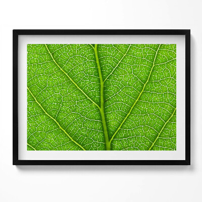 Tablou living cu rama Venele frunzelor verzi