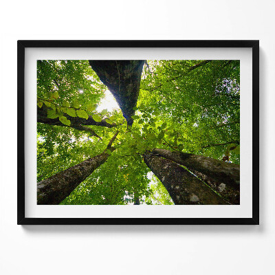 Tablou living cu rama Copaci cu frunze verzi