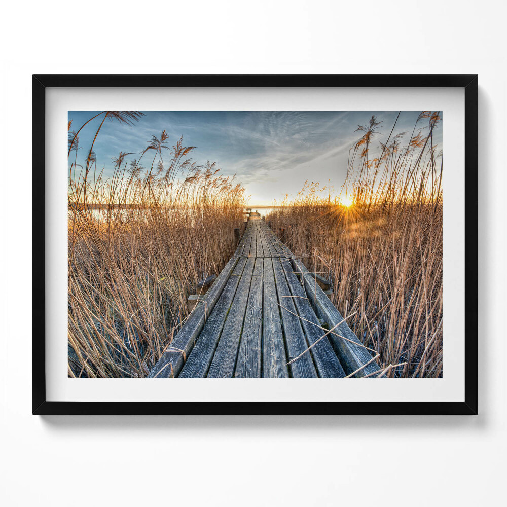 Tablou rama Un drum de lemn printre copaci