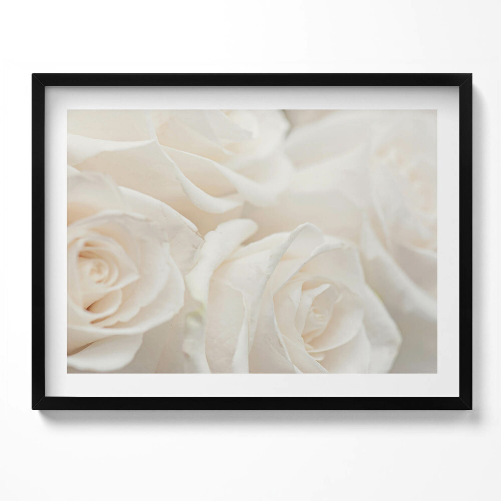 Tablou living cu rama Alb delicat diverse