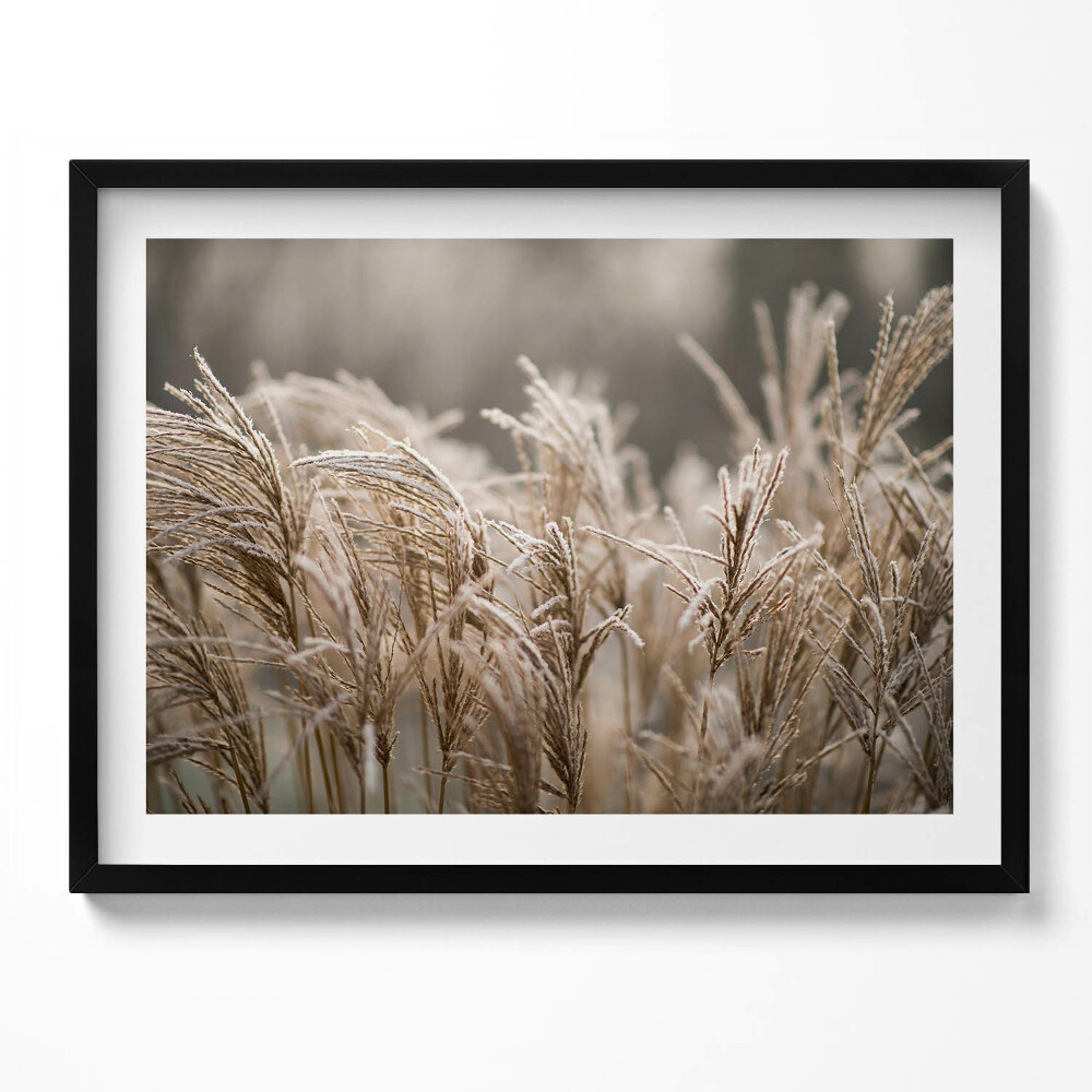 Tablou living cu rama Ierburi delicate Boho