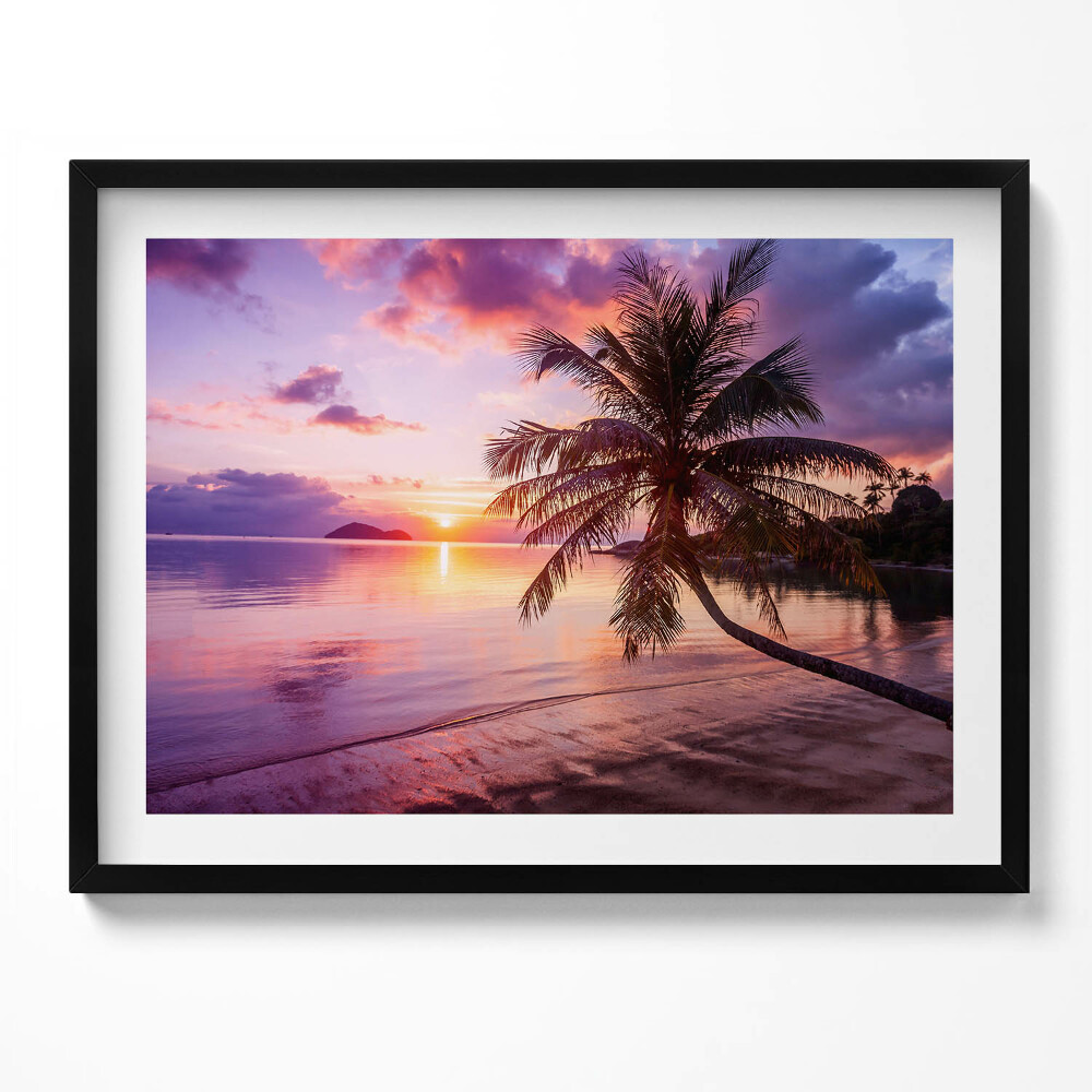 Tablou living cu rama Palmier pe plajă la apus
