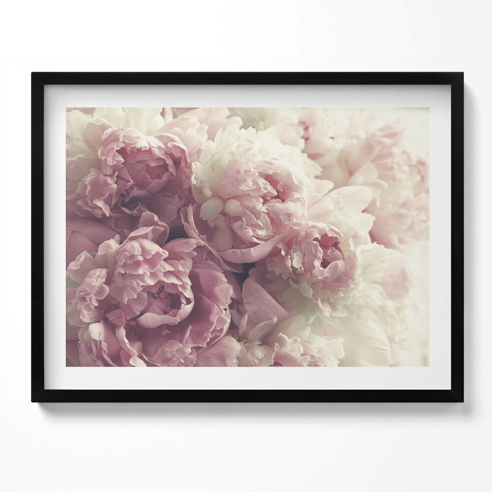 Tablou rama Flori subtile de bujori