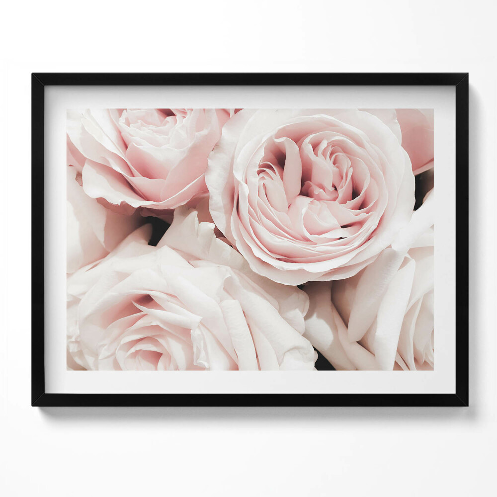 Tablou living cu rama Flori roz pal trandafiri delicati