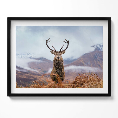 Tablou living cu rama Un cerb într-o poiană de munte