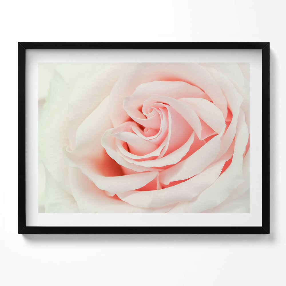 Tablou living cu rama Prim-plan al petalelor de trandafir