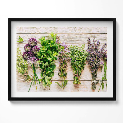 Tablou rama Plante și ierburi pe plăci