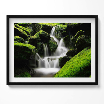 Tablou rama Cascadă sălbatică în junglă