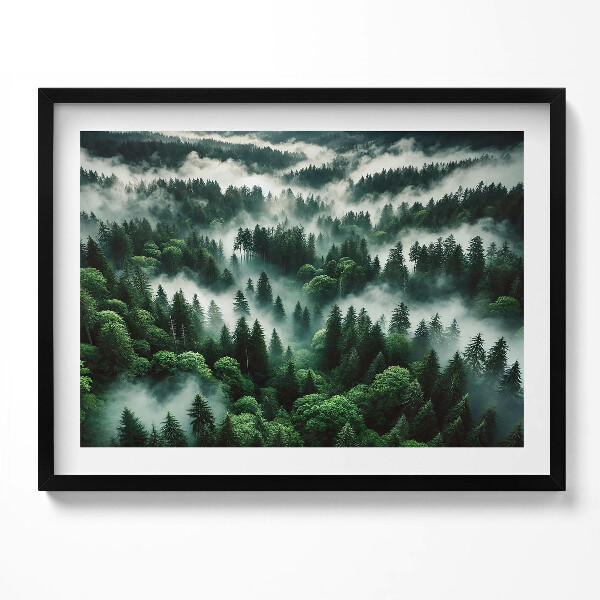 Tablou rama Peisaj de ceață de dimineață în pădure