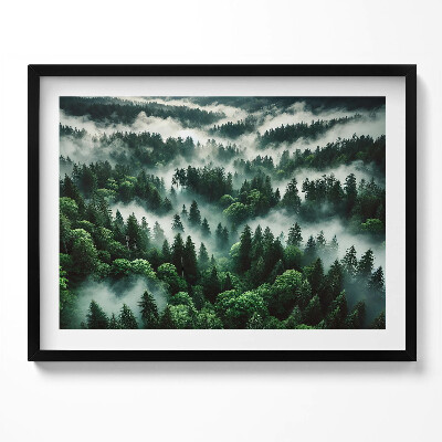 Tablou rama Peisaj de ceață de dimineață în pădure