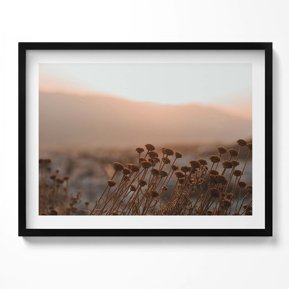 Tablou rama Peisaj romantic cu iarbă boho