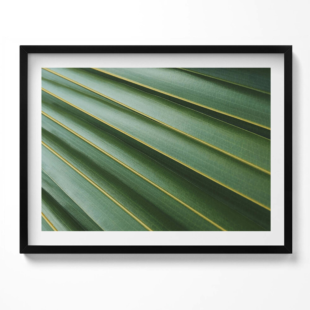 Tablou rama Textură de plantă verde