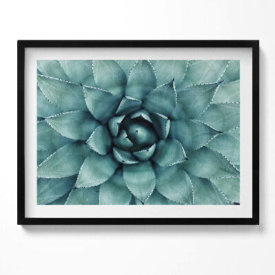 Tablou living cu rama Plantă suculentă verde