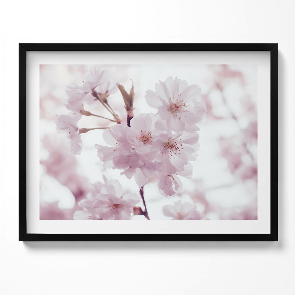 Tablou rama Flori delicate de culoare roz pal