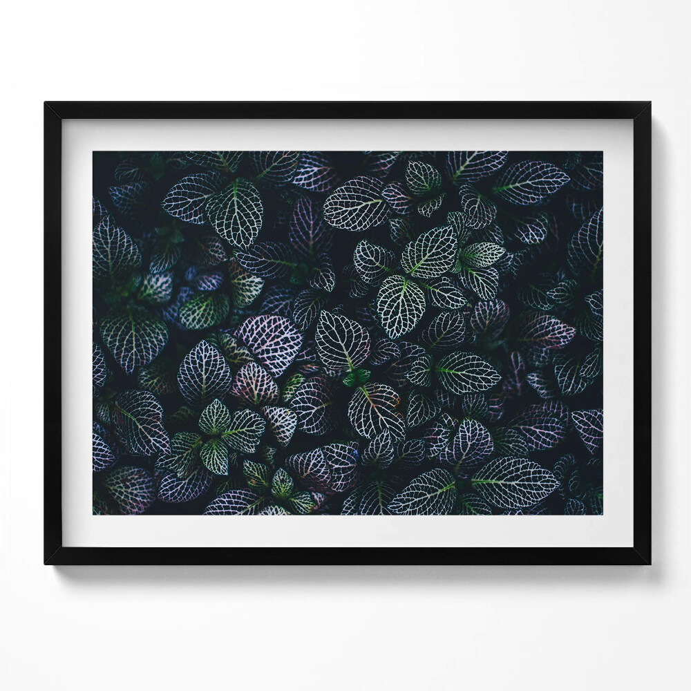 Tablou rama Frunze sălbatice întunecate