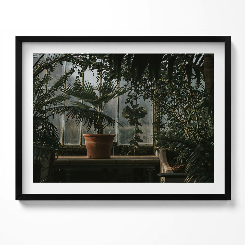 Tablou rama Plante vintage pe fereastră