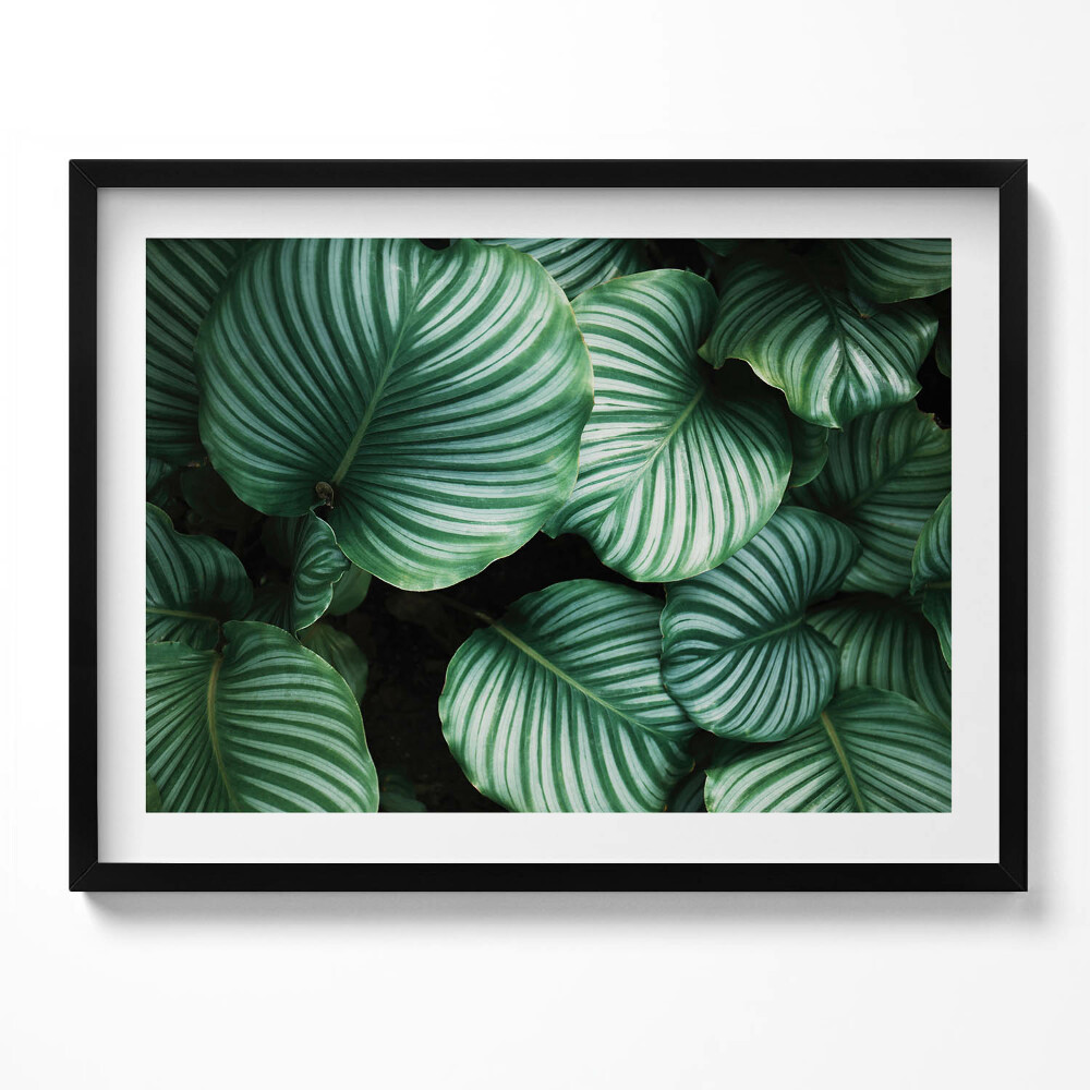 Tablou living cu rama Frunze mari și verzi